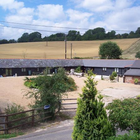 Five Cottages In Aonb And A Hobbit House! แคนเทอร์เบอรี ภายนอก รูปภาพ