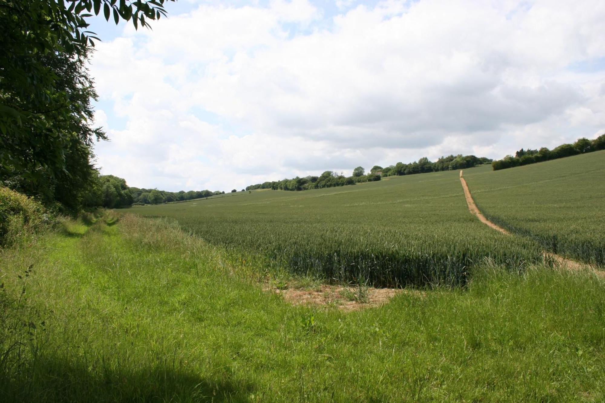 Five Cottages In Aonb And A Hobbit House! แคนเทอร์เบอรี ภายนอก รูปภาพ